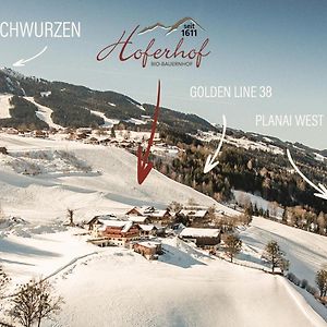 Hoferhof Ski In & Ski Out Hotel Schladming -Dachstein